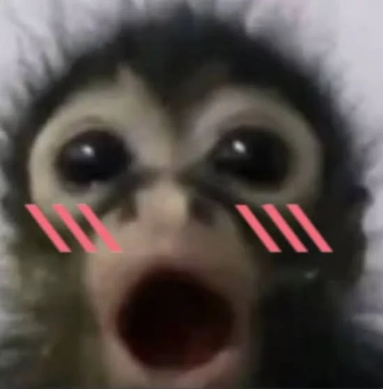 shocked ape